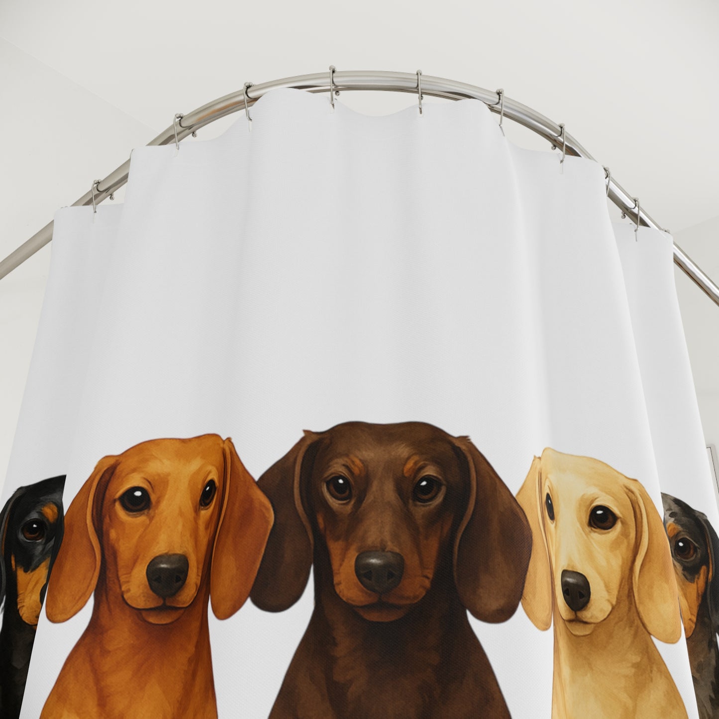 Adorable Dachshund Shower Curtain